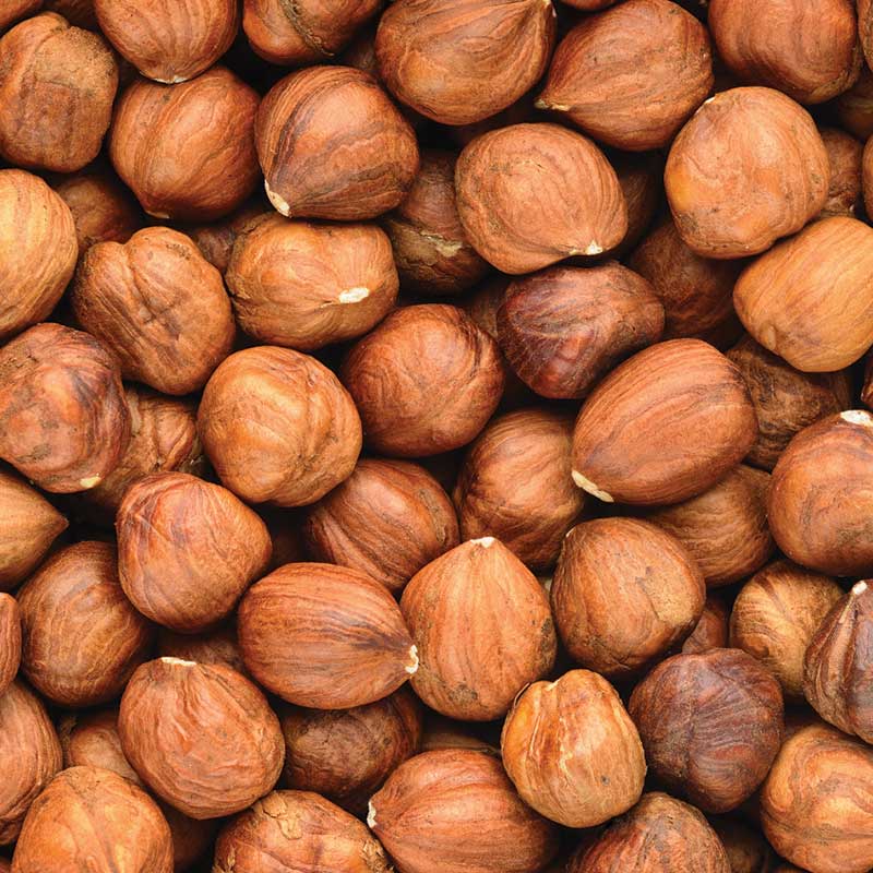 Natural Whole Filberts / Hazelnuts